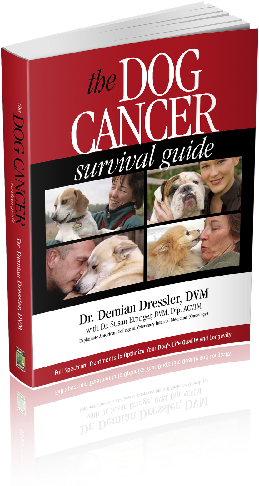 Dog Cancer Survival Guide, HD Png Download - Transparent PNG Free Download