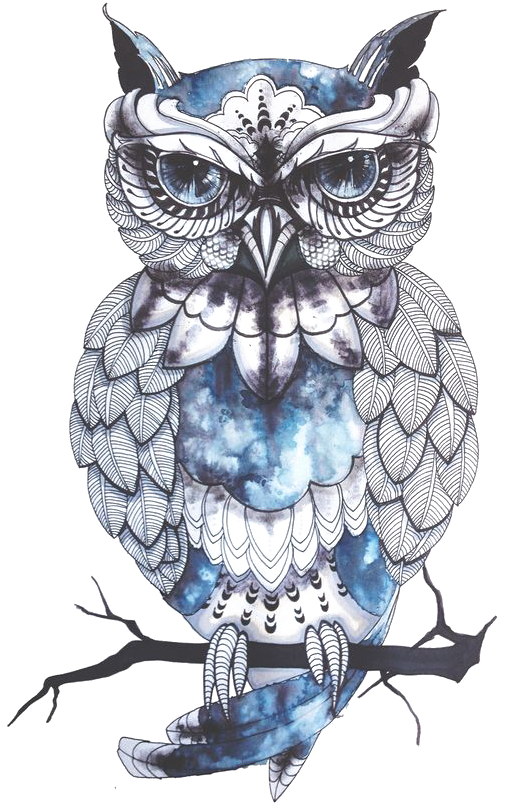 Owl Little Tattoo Flash Idea Cartoon Clipart - Owl Artwork Png, Transparent - Transparent PNG Free Download