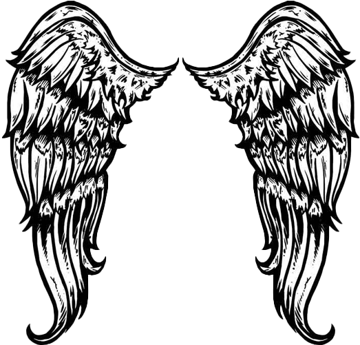 Wings Tattoo Png Photo, Transparent - Transparent PNG Free Download