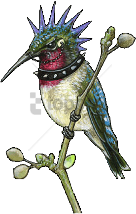 Free Png Sleeve Tattoo Png Image With Transparent Background - Punk Hummingbird, Png Download - Transparent PNG Free Download