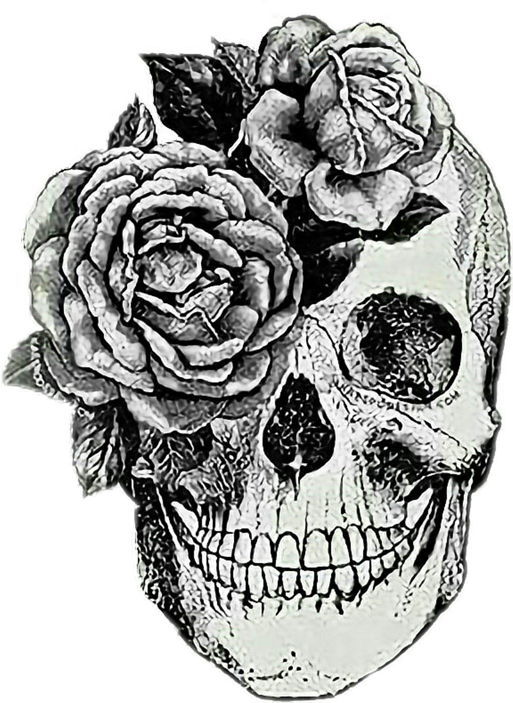 Anatomical Skull Tattoo , Png Download, Transparent - Transparent PNG Free Download