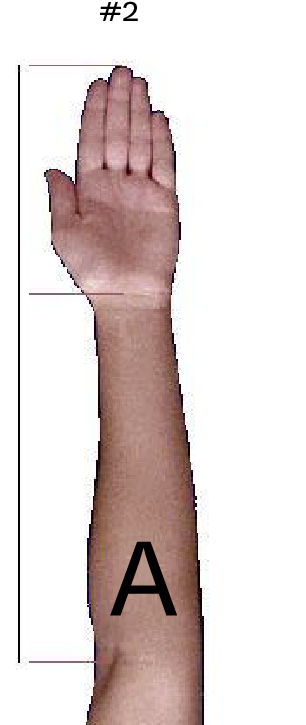 Should Forearm Tattoos Be Oriented, HD Png Download - Transparent PNG Free Download