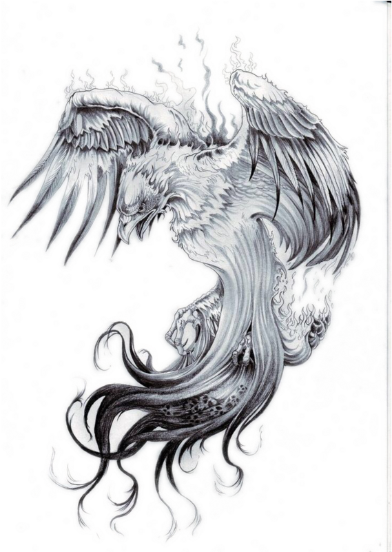 Transparent Chest Tattoo Png - Realistic Phoenix Tattoo Designs, Png Download - Transparent PNG Free Download