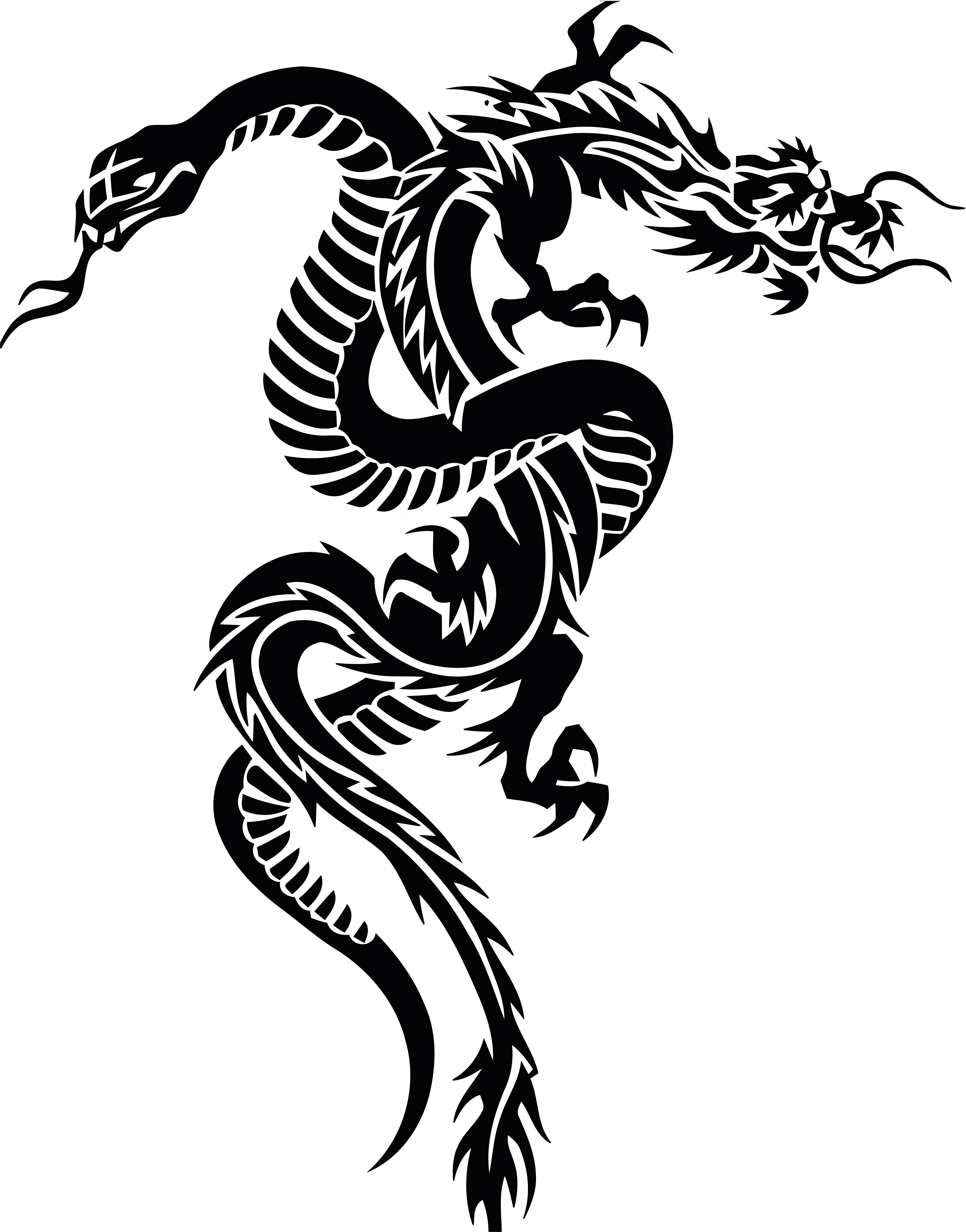 Snake And Dragon Tribal Tattoo Clipart And Design - Snake And Dragon Tattoo, HD Png Download - Transparent PNG Free Download