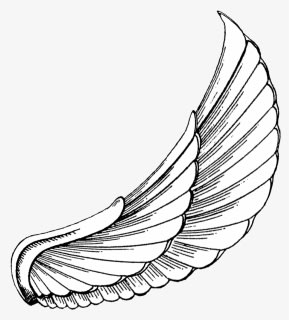 Vector Royalty Free Download To Download Click On - Wings Hd Tattoo Design, HD Png Download - Tattoo Transparent PNG Free Download
