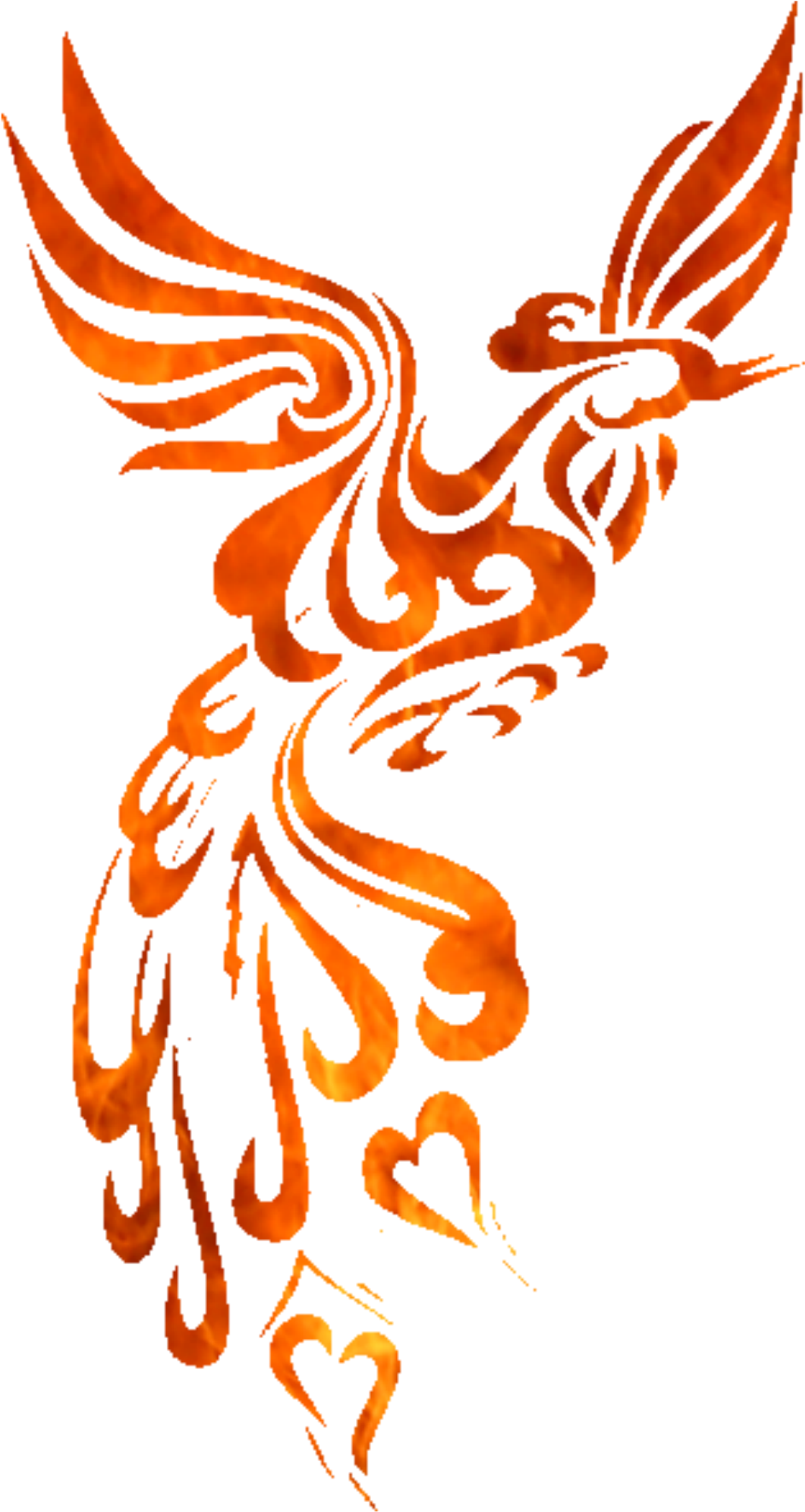 Phoenix Bird Tattoos - Phoenix Tattoo Designs, HD Png Download - Transparent PNG Free Download