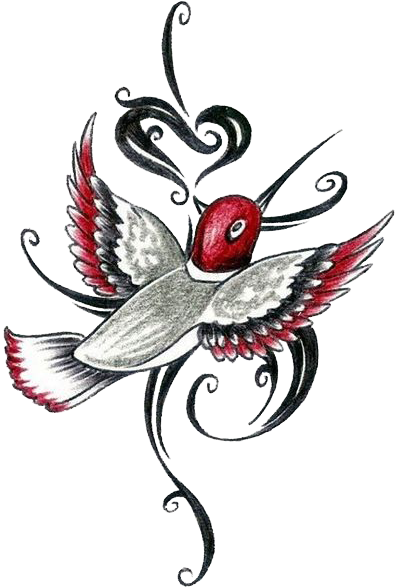 Tribal Hummingbird Tattoos, HD Png Download - Transparent PNG Free Download