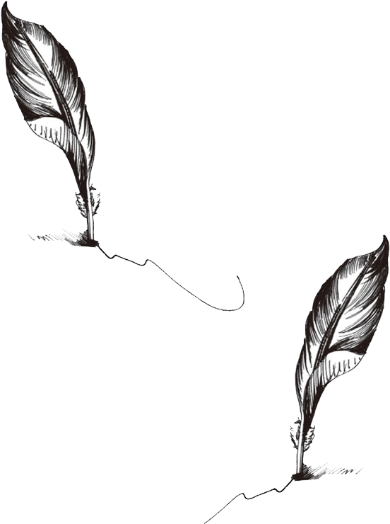 Peacock Feather Tattoos Png, Transparent - Transparent PNG Free Download