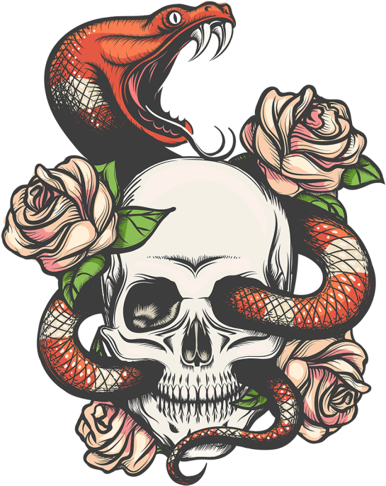 Colored Snake Skull Tattoo, HD Png Download - Transparent PNG Free Download