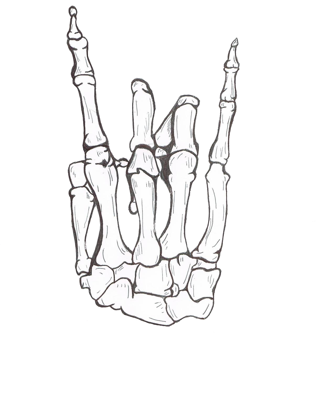 Transparent Hand Tattoo Png - Hang Loose Skeleton Hand, Png Download - Transparent PNG Free Download