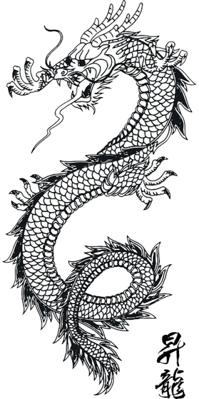 Lotus Tattoo Design For Hand - Transparent Japanese Dragon Png, Png Download - Transparent PNG Free Download