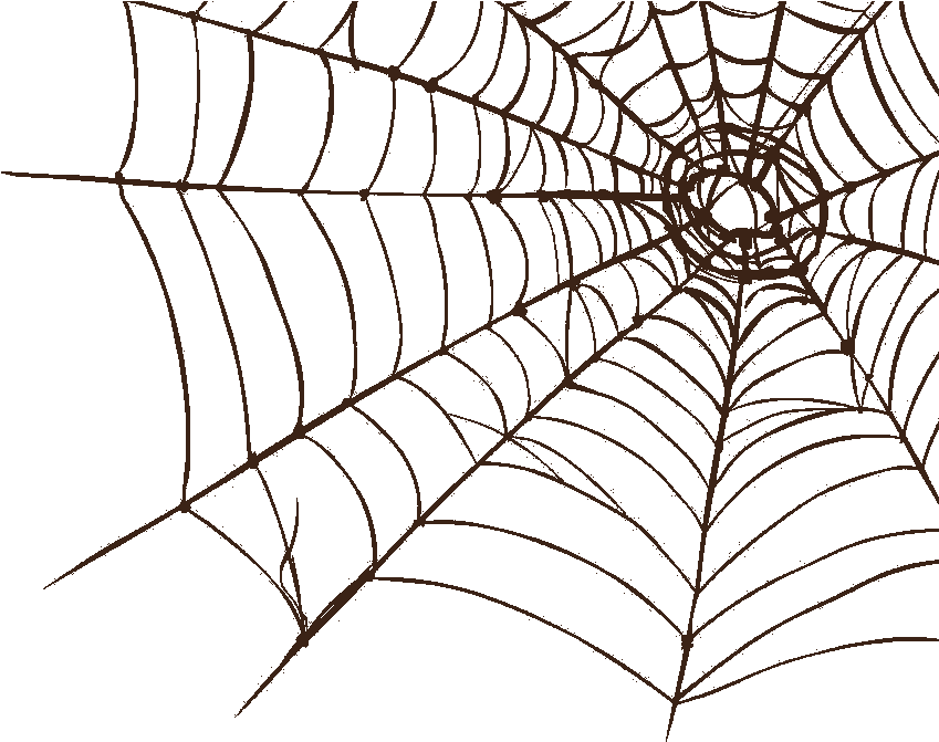 Roda Dos 7 Niveis Do Processo Evolutivo, HD Png Download - Transparent PNG Free Download