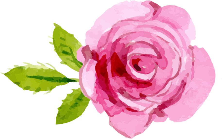#pink #rose #tattoo - Watercolor Pink Roses Clipart, HD Png Download - Transparent PNG Free Download