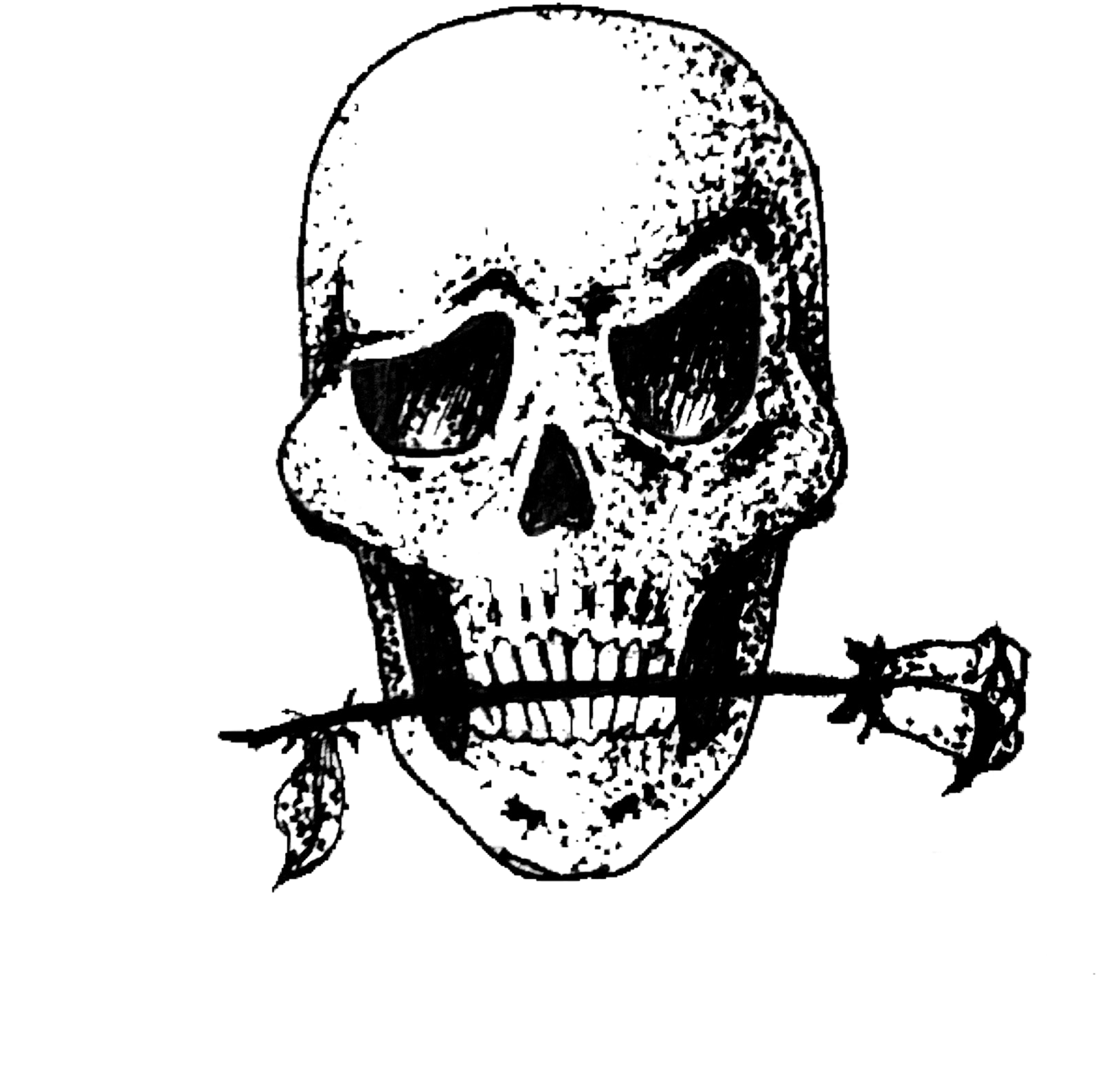 #skull #tattoo #skeleton #tatuagem #caveira #freetoedit - Skull, HD Png Download - Transparent PNG Free Download