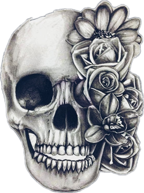 Dessin Tete De Mort Tatouage, HD Png Download - Transparent PNG Free Download