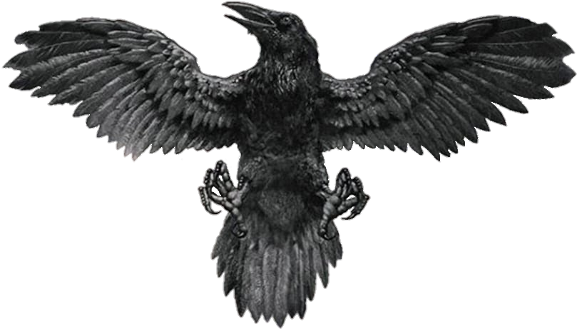 #tattoo #raven # Tattoos #tattos #tattooart #tattooed - Man Back Bird Tattoo, HD Png Download - Transparent PNG Free Download