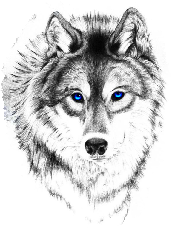 Wolf And Moon Tattoo, Wolf Face Tattoo, Wolf Tattoo - Blue Eyed Wolf Tattoo, HD Png Download - Transparent PNG Free Download