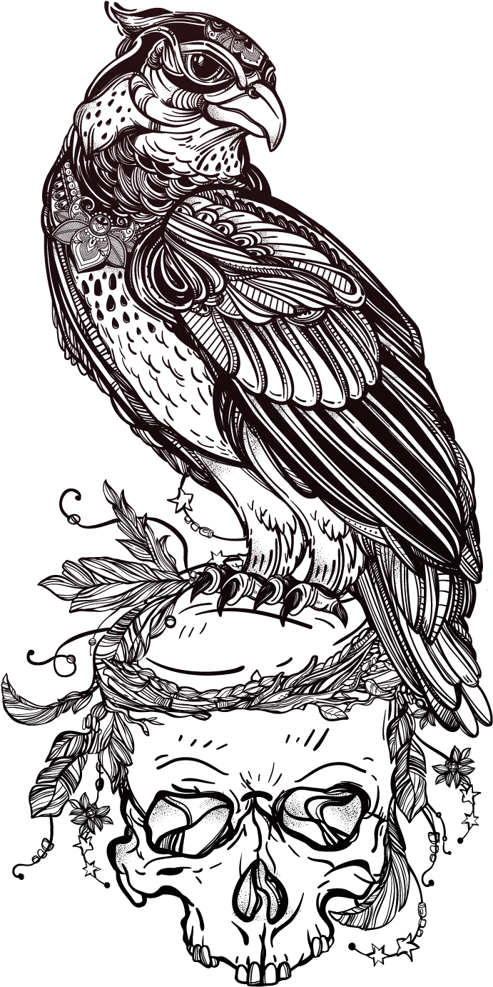 Tattoo Illustrator Skull Owl Of Material Bird Clipart - Bird Tattoo Outline Designs, HD Png Download - Transparent PNG Free Download
