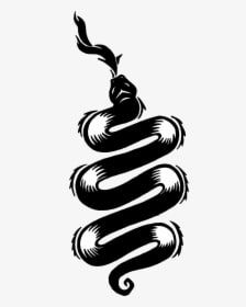 Snake Tattoo Png - Cole Macgrath Tattoos, Transparent - Transparent PNG Free Download