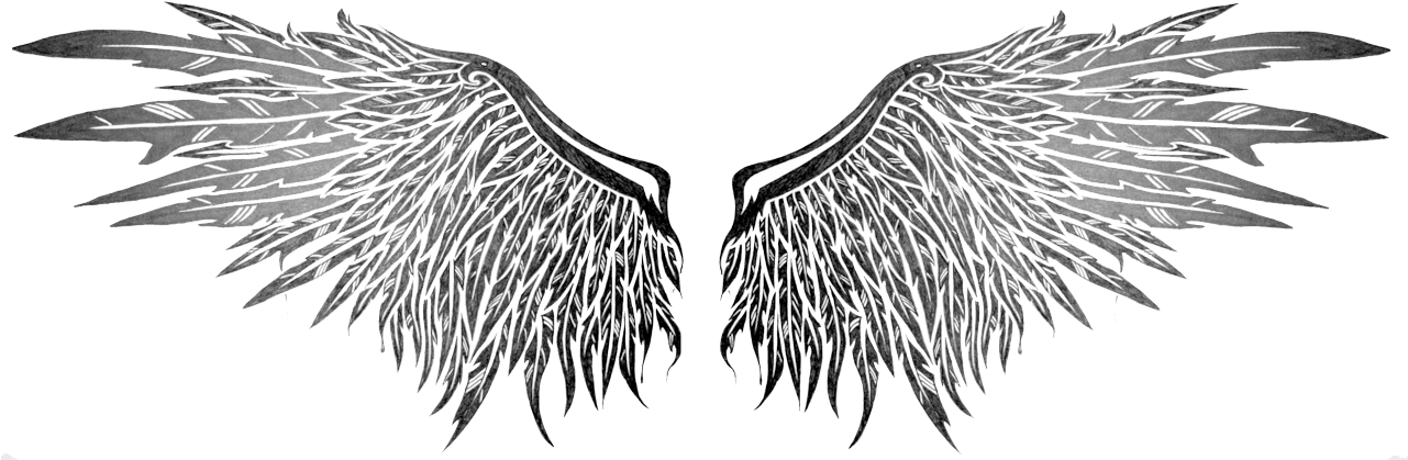 Angel Wings Png Transparent Angel Wings Tattoo Png- - Transparent Wing Tattoo Png, Png Download - Transparent PNG Free Download