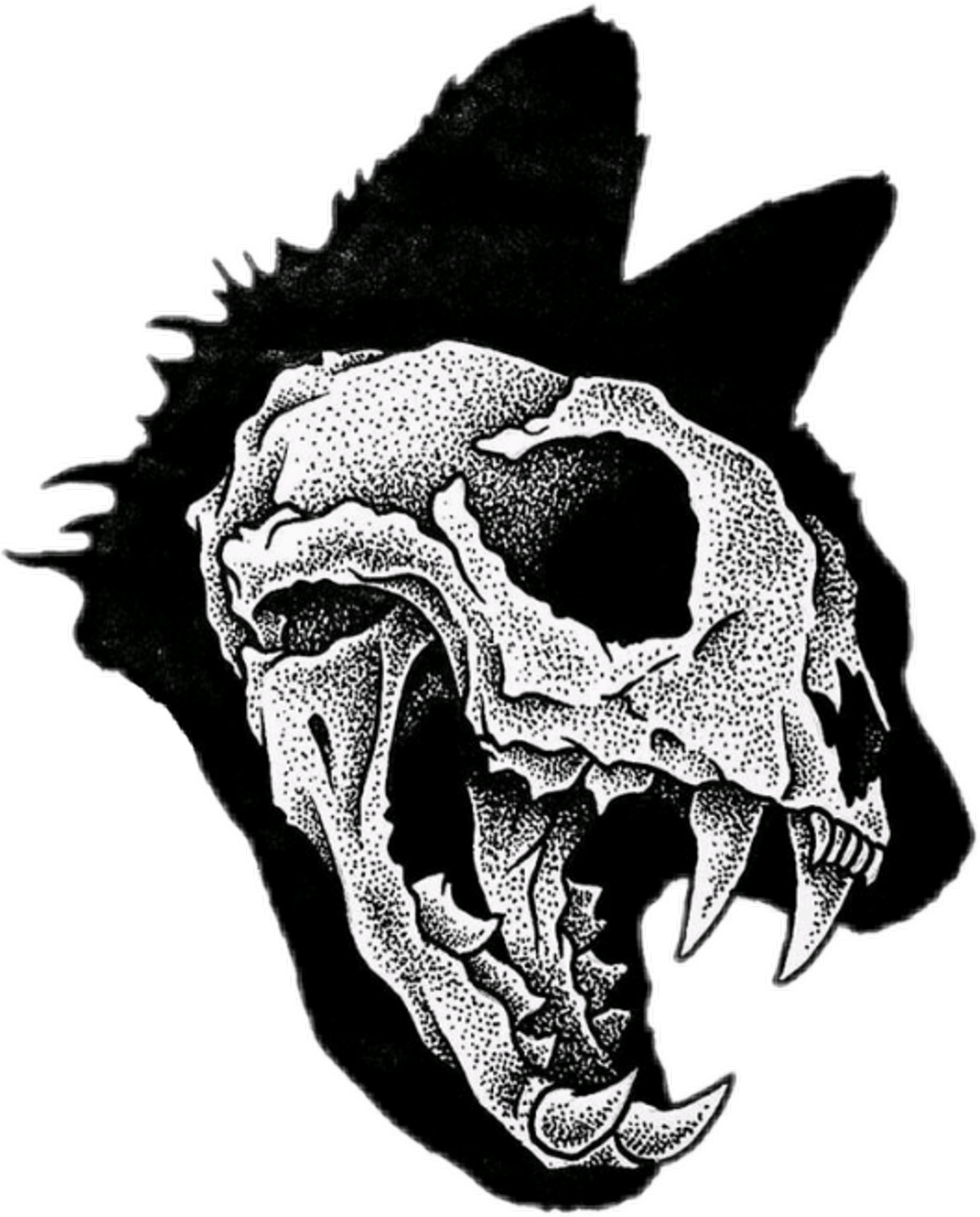 Cat Skull Download Free Clipart With A Transparent - Cat Skull Tattoo Designs, HD Png Download - Transparent PNG Free Download