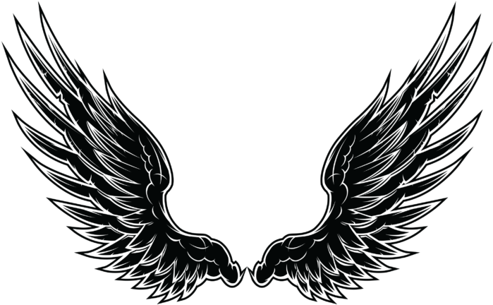 Wings Tattoo Png Image Free Download Searchpng, Transparent - Transparent PNG Free Download
