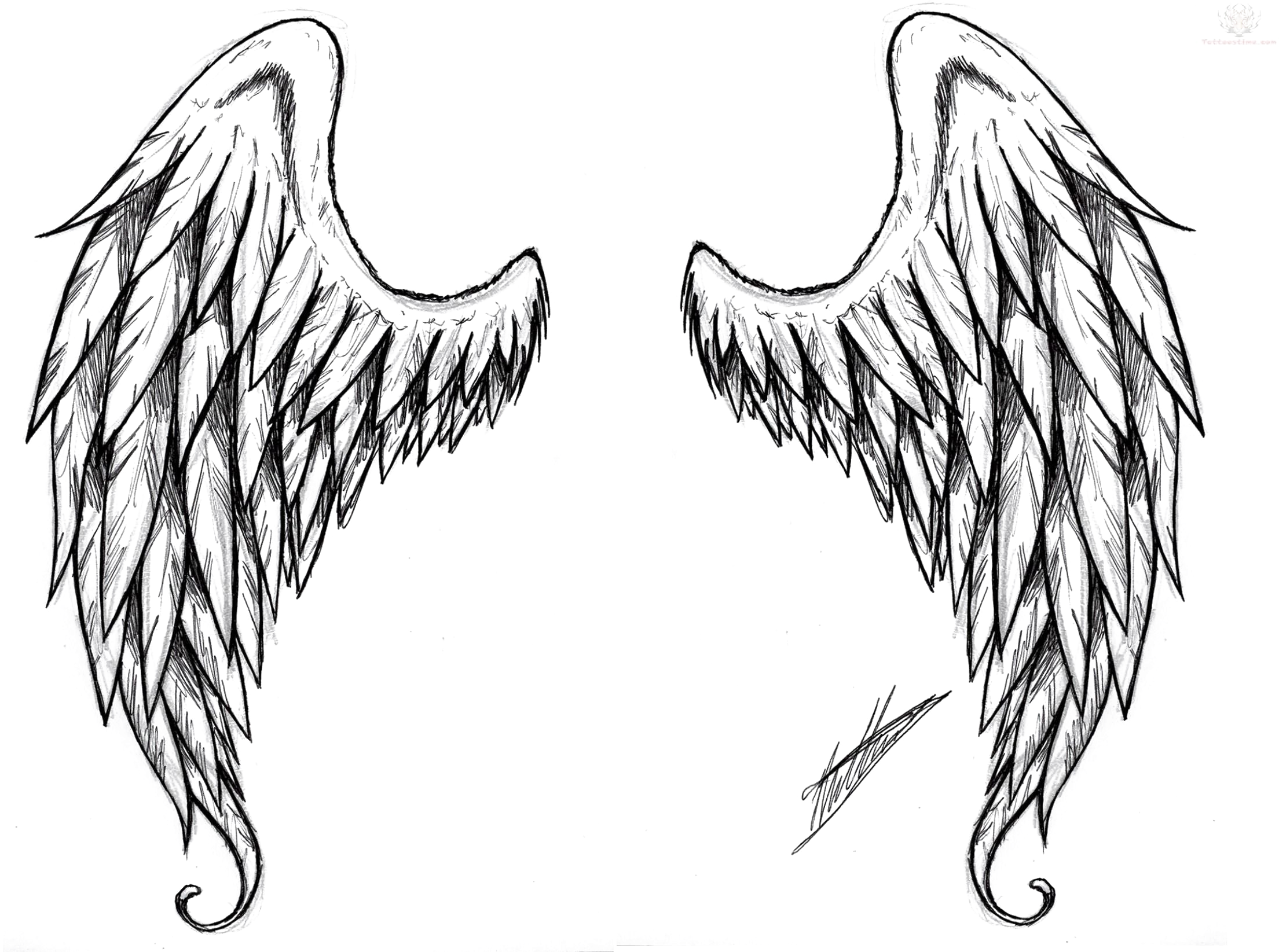 Wings Tattoo Png Free Download, Transparent - Transparent PNG Free Download