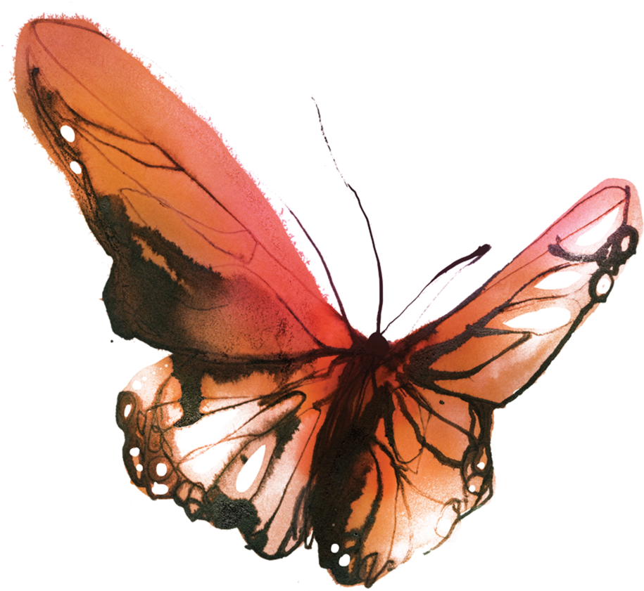 Pretty Butterfly Tattoos Watercolour - Small Watercolor Butterfly Tattoo, HD Png Download - Transparent PNG Free Download