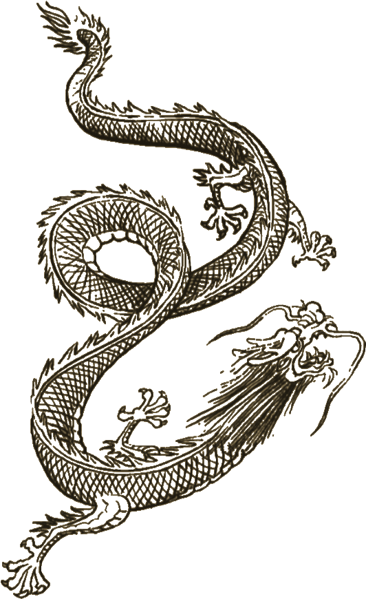 Transparent Oriental Dragon Clipart - Sleeping Dogs Dragon Tattoo, HD Png Download - Transparent PNG Free Download
