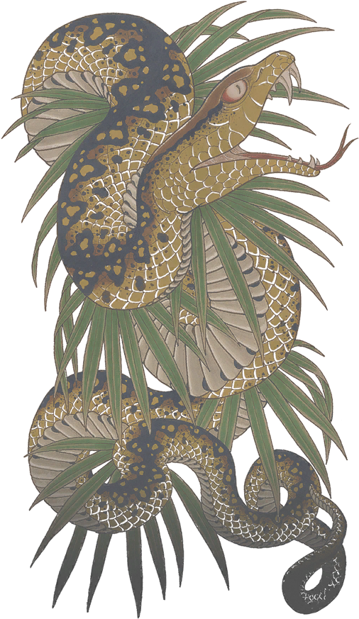 C Am Rikiya Tatoo Di - Rikiya Tattoo Yakuza 3 Before And After, HD Png Download - Transparent PNG Free Download