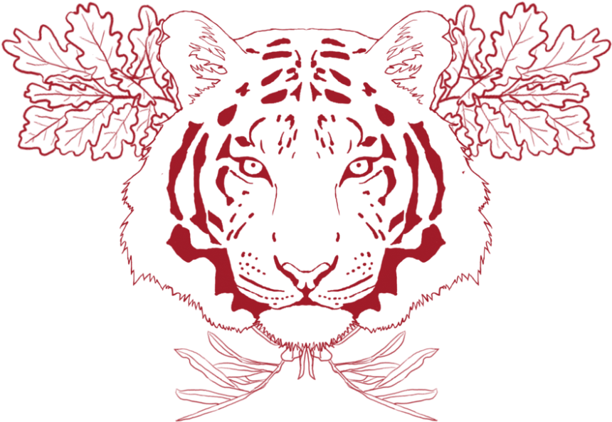 Download Chest Tattoo Png Free Download For Designing - Chest Tattoo Png, Transparent - Transparent PNG Free Download