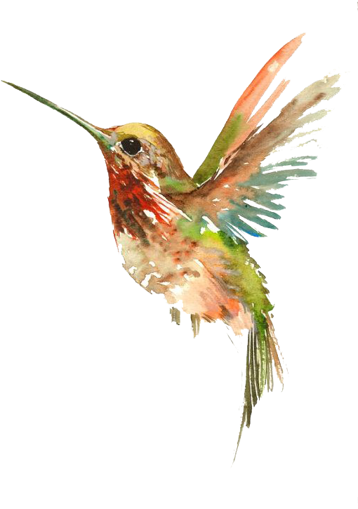 Tattoo Flying Watercolor Painting Bird Hummingbird - Cool Watercolor Hummingbird Tattoo, HD Png Download - Transparent PNG Free Download