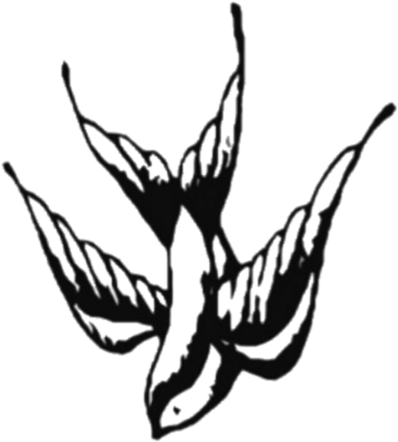 #shawn Mendes Tattoo - Shawn Mendes Tattoo Bird, HD Png Download - Transparent PNG Free Download