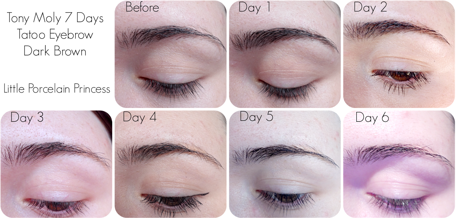 Clip Art Eyebrow Tattoo Images - Tony Moly Eyebrow Tattoo, HD Png Download - Transparent PNG Free Download