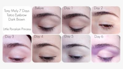 Clip Art Eyebrow Tattoo Images - Tony Moly Eyebrow Tattoo, HD Png Download - Transparent PNG Free Download