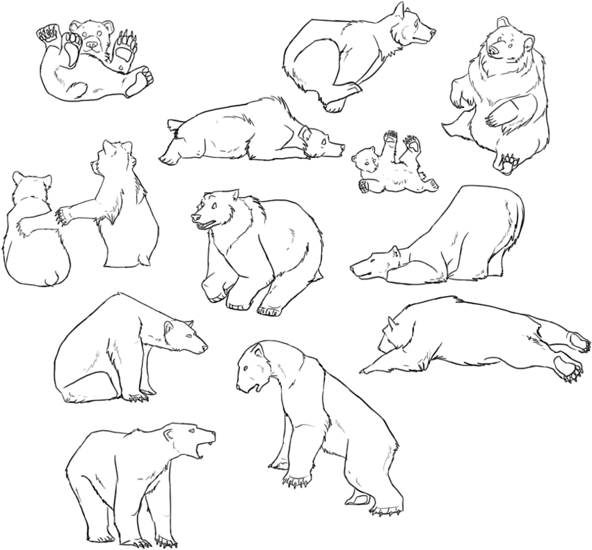 Simple Bear Outline Tattoos Images Amp Pictures Nearpics - Grizzly Bear Tattoo Simple, HD Png Download - Transparent PNG Free Download