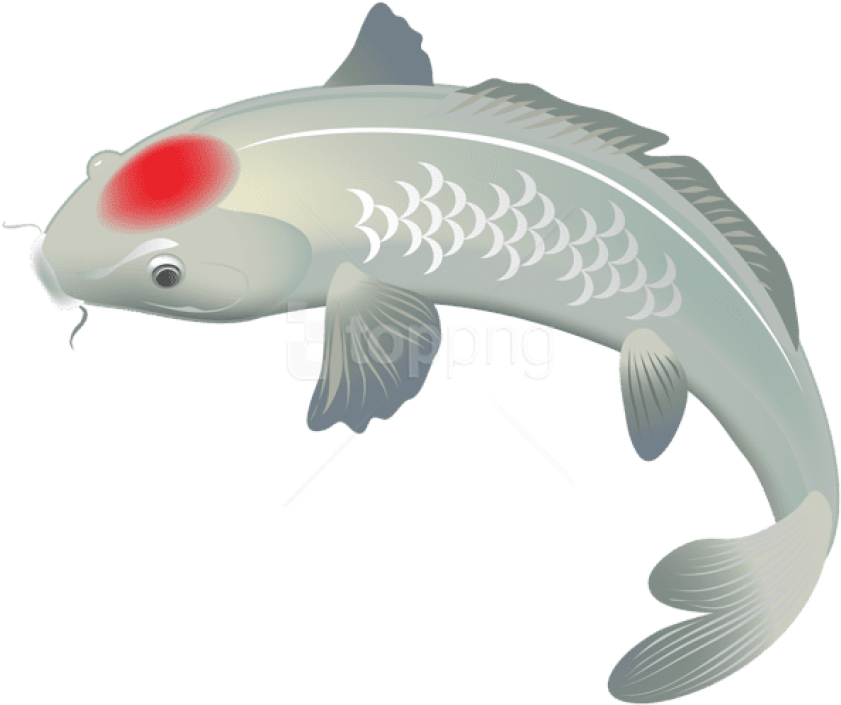 Koi Fish Tattoo Png, Transparent - Transparent PNG Free Download