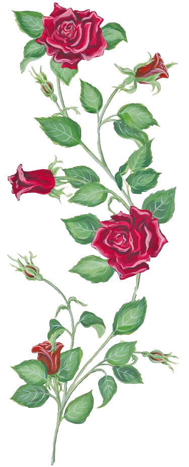Transparent Rose Vine Png - Rose And Vine Tattoo, Png Download - Transparent PNG Free Download