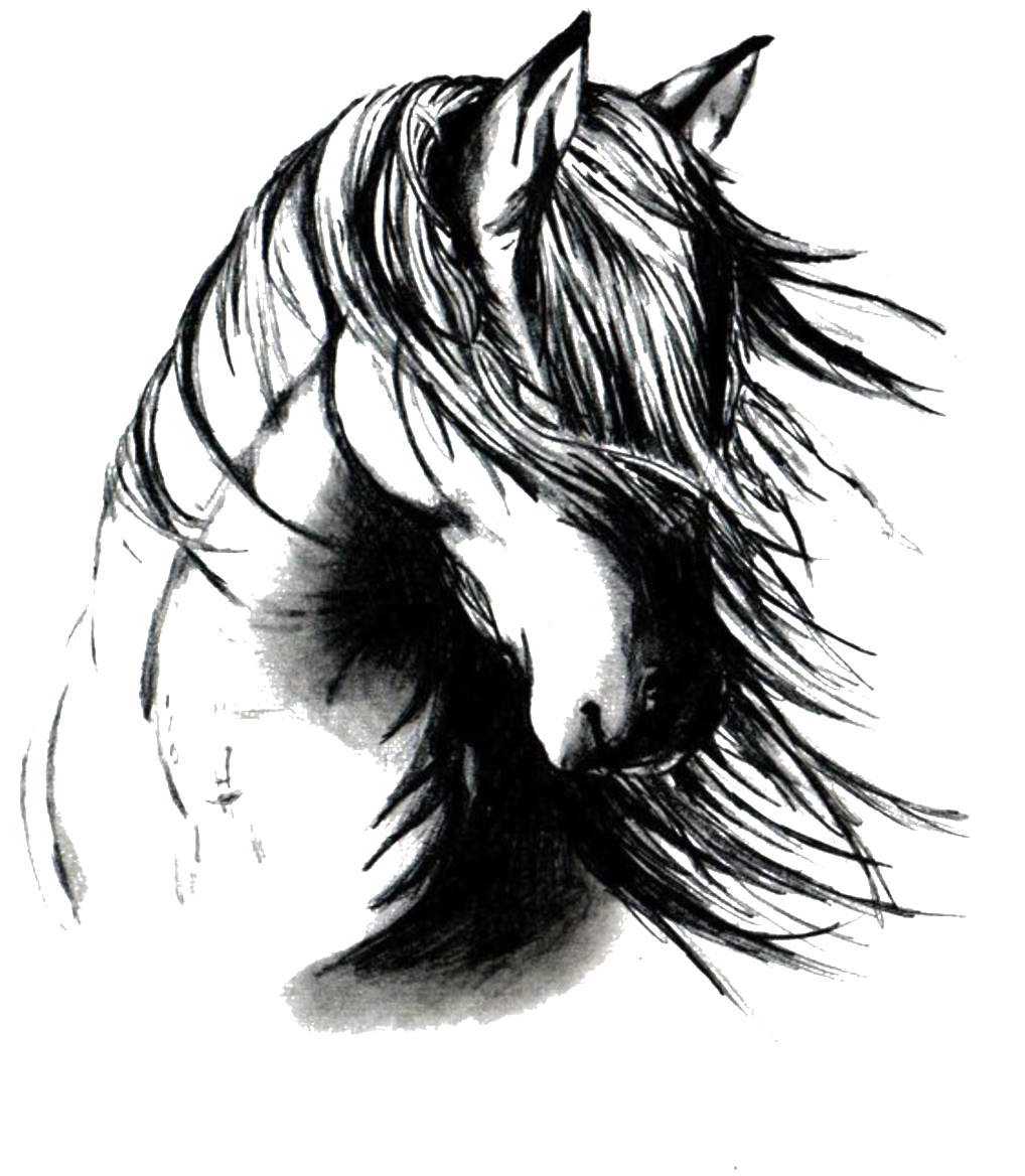 Hand Drawn Horse Head Element Pattern - Black And White Horse Tattoos, HD Png Download - Transparent PNG Free Download