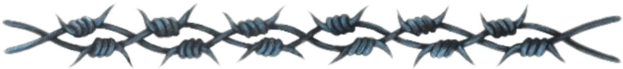 #barbedwire #barbwire #spikes #ouch #goth #divider - Barb Wire Realistic Tattoo, HD Png Download - Transparent PNG Free Download