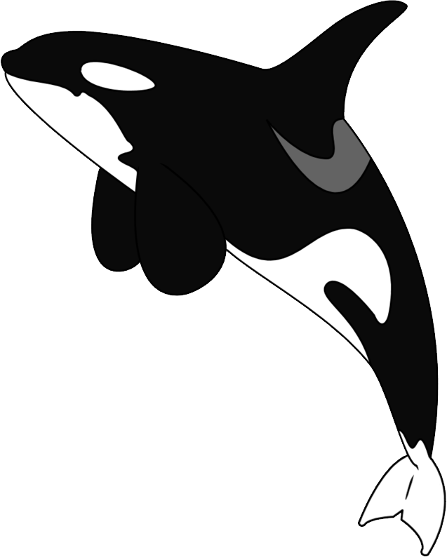 Killer Whale Png - Orca Tattoo, Transparent - Transparent PNG Free Download