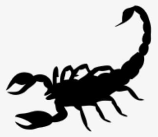 Scorpion Png Free Download - Solid Black Scorpion Tattoo, Transparent - Transparent PNG Free Download