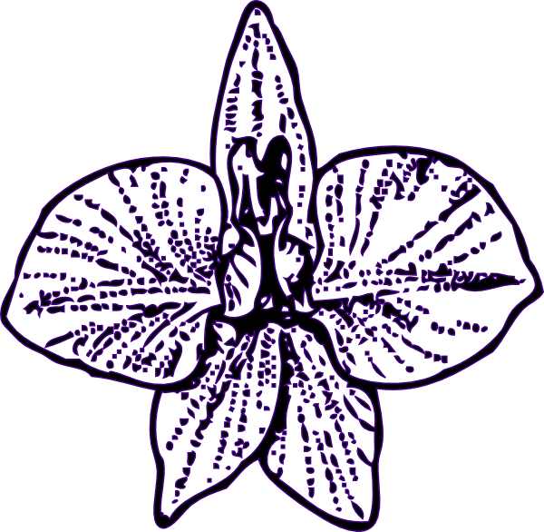 Flower Outline Svg Clip Arts - Larkspur Flower Tattoo, HD Png Download - Transparent PNG Free Download