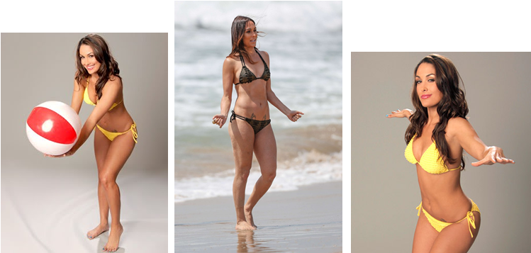 Brie Bella Bikini - Brie Bella Tattoo, HD Png Download - Transparent PNG Free Download