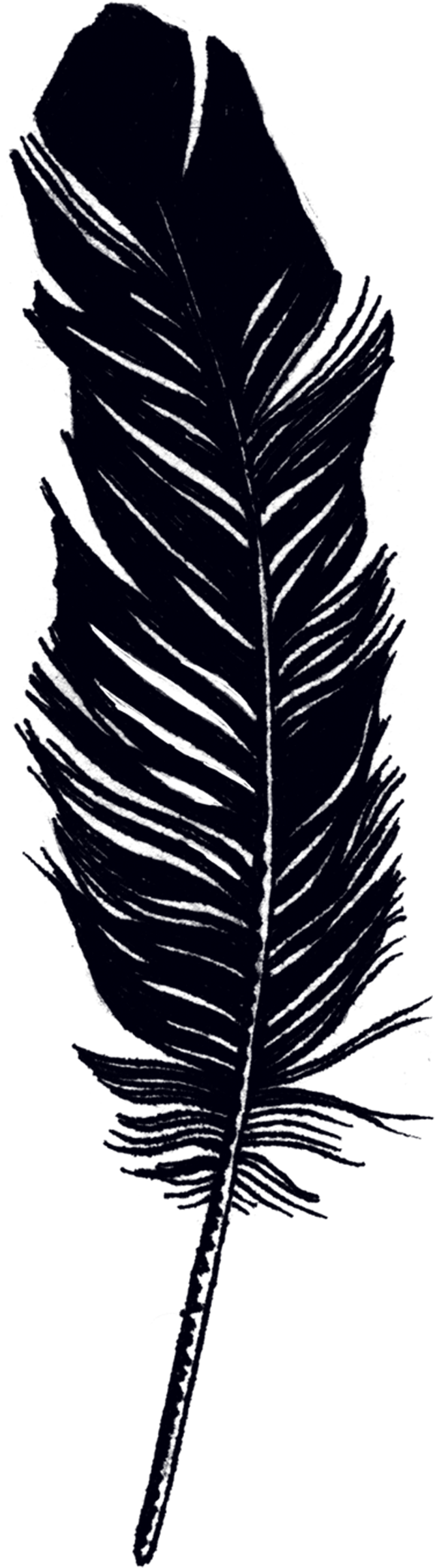 Clip Art By Jen Mussari From - Black Tattoos On Paper, HD Png Download - Transparent PNG Free Download