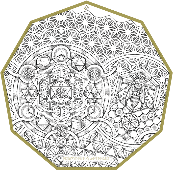 Circle, HD Png Download - Transparent PNG Free Download