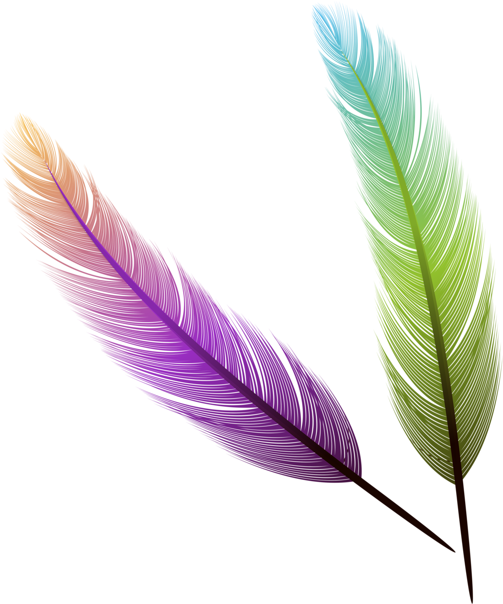 Фотки Sleeve Tattoos, Art Ideas, Clip Art, Tattoo Ideas, - Colourful Feathers, HD Png Download - Transparent PNG Free Download