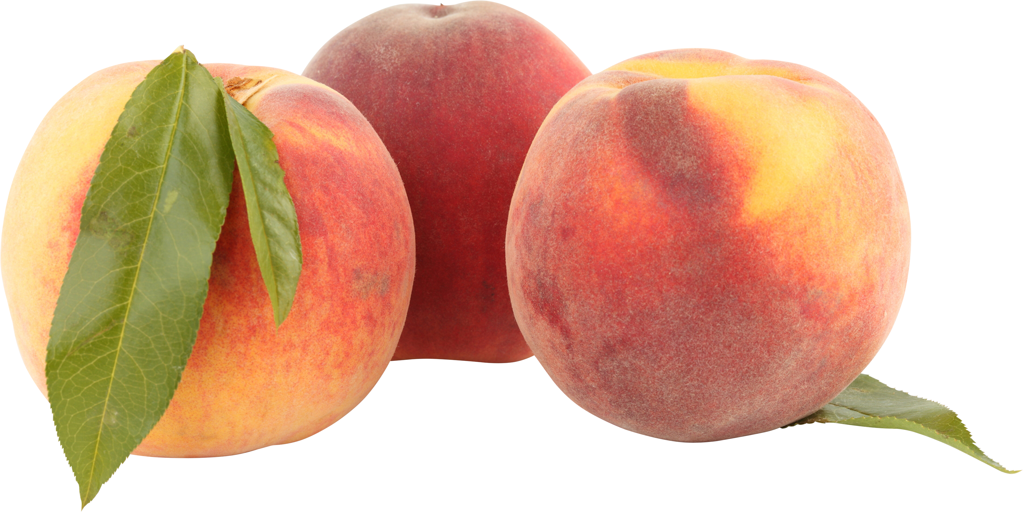 Peaches Png Image - Kylie Koko Lip Tattoo Lovely Peach, Transparent - Transparent PNG Free Download