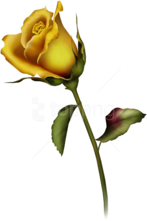 Transparent Rose Bud Png - Single Yellow Rose Tattoo, Png Download - Transparent PNG Free Download