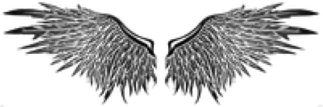 Tribal Tattoos Png, Transparent - Transparent PNG Free Download